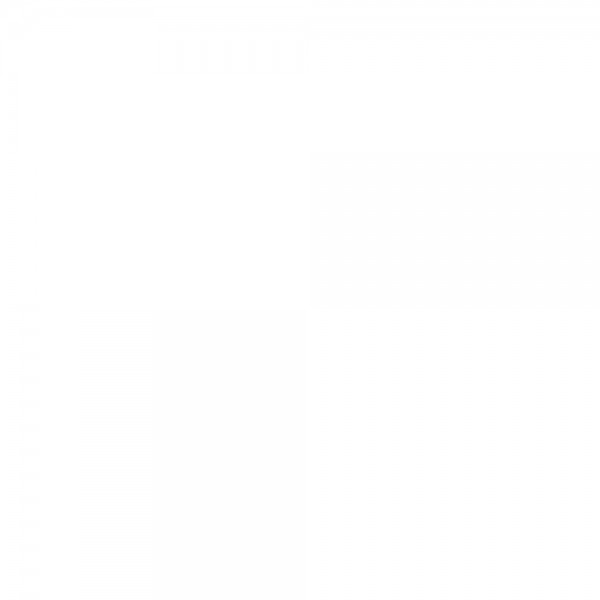 A photo of Michelle Ford